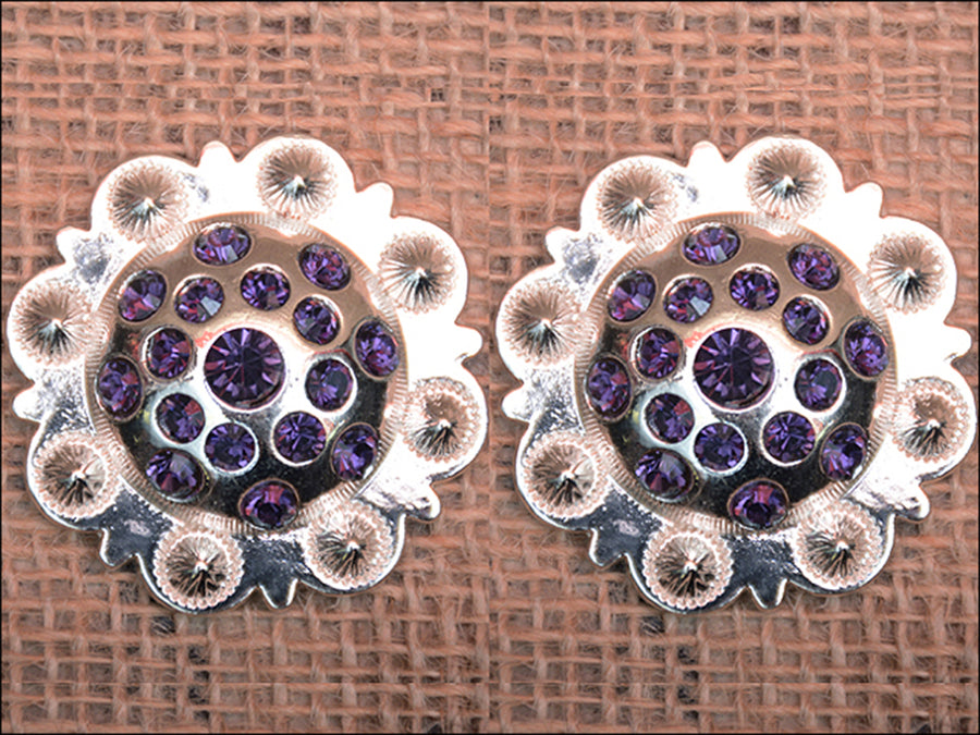 1.5 Inch HILASON Western Screw Back Purple Crystals Berry Concho Saddle & Tack