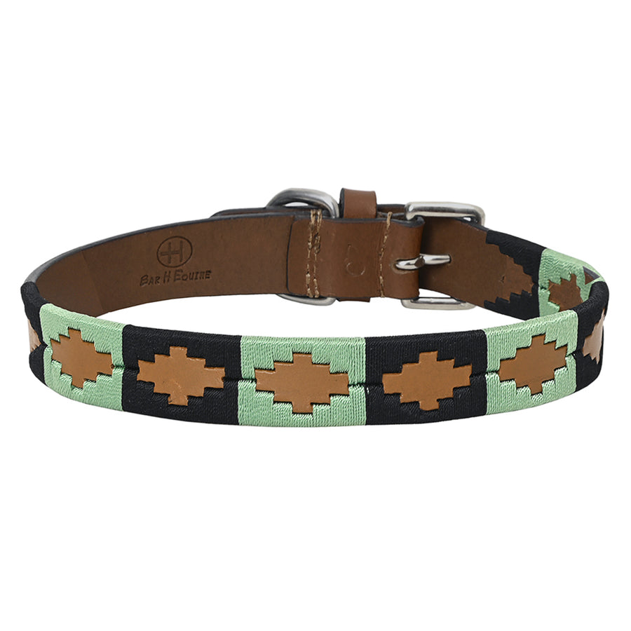BAR H EQUINE Western Genuine Leather Dog Collar Embroidered Black and Light Green - Uhorse
