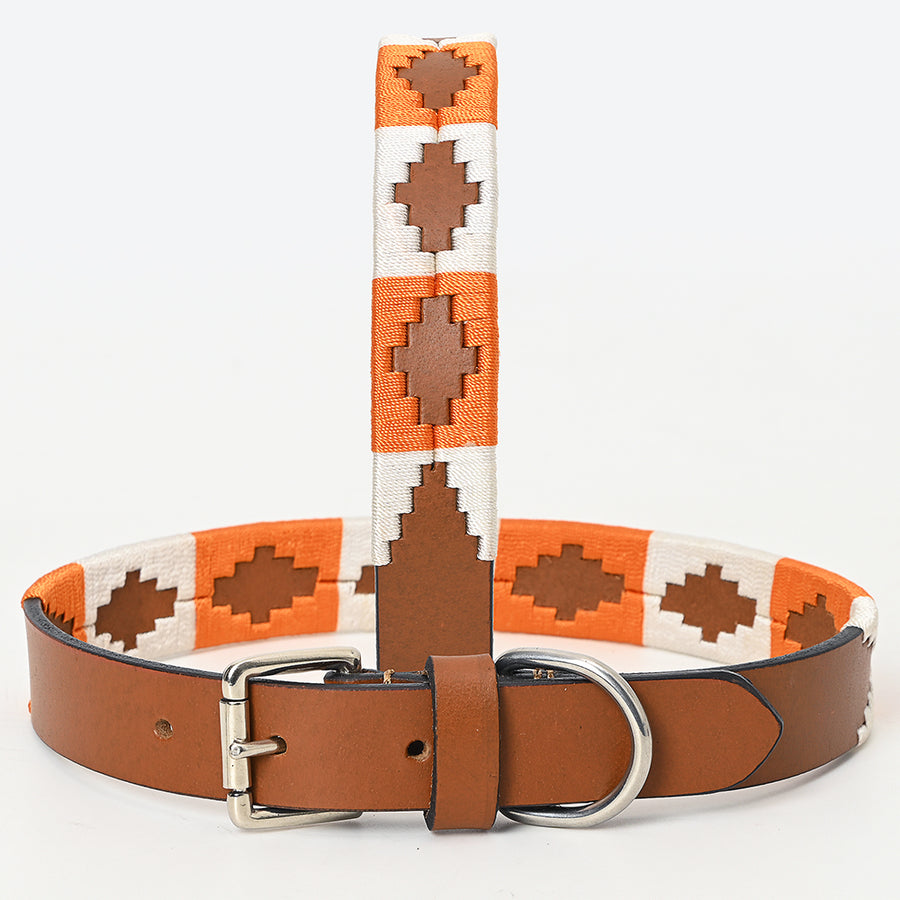BAR H EQUINE Western Genuine Leather Dog Collar Embroidered Orange & White