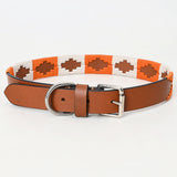 BAR H EQUINE Western Genuine Leather Dog Collar Embroidered  Orange & White