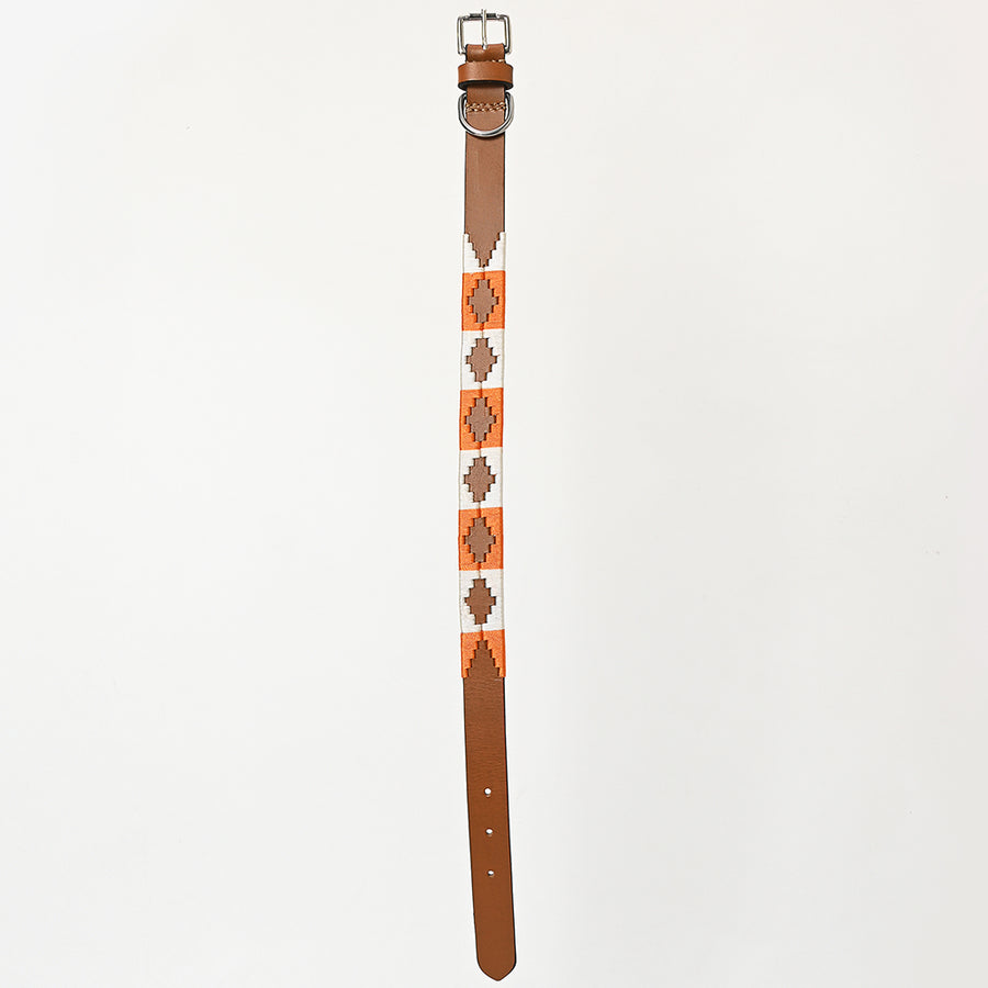 BAR H EQUINE Western Genuine Leather Dog Collar Embroidered Orange & White