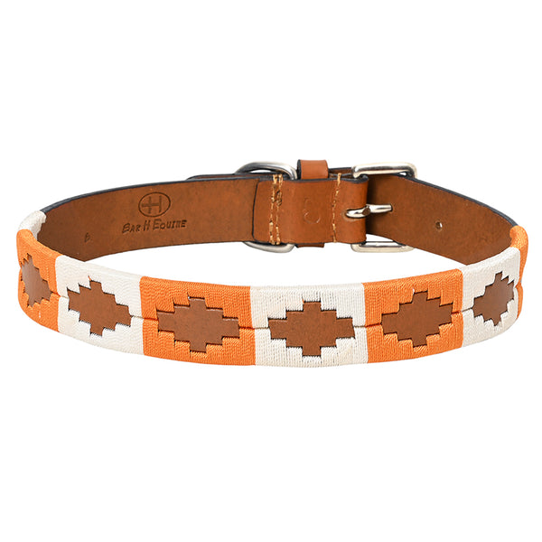 BAR H EQUINE W. Genuine Leather Dog Collar Embroidered Orange & White by Hilason – Cowboy and equestrian accessories