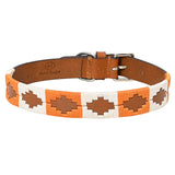 BAR H EQUINE Western Genuine Leather Dog Collar Embroidered  Orange & White