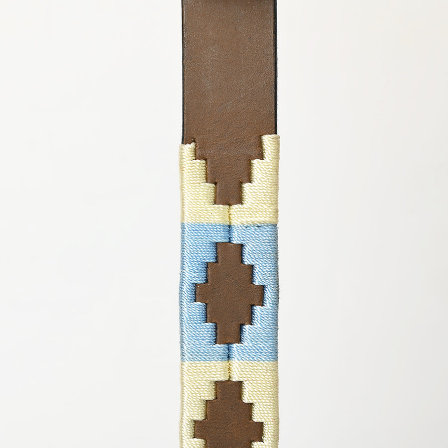 BAR H EQUINE Western Genuine Leather Dog Collar Embroidered Beige & Light Blue