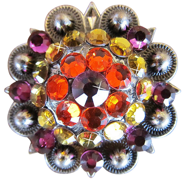 Western Screw Back Concho Fuchsia Topaz Crystal Bling Headstall Cowgirl - Uhorse