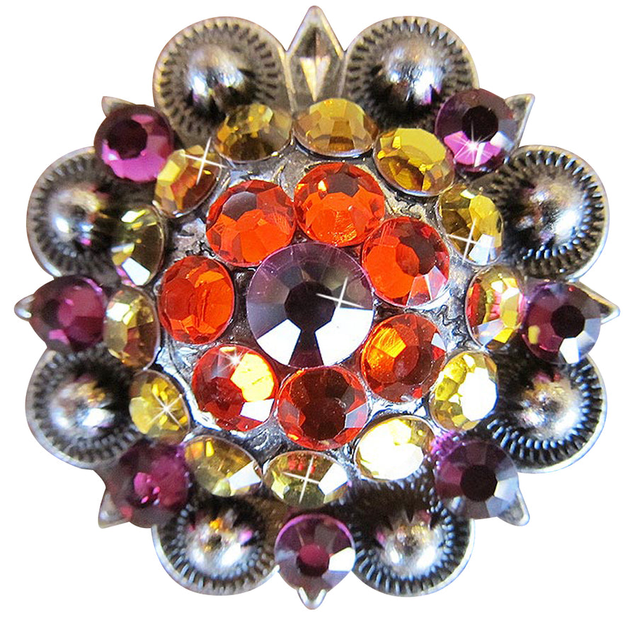 Western Screw Back Concho Fuchsia Topaz Crystal Bling Headstall Cowgirl - Uhorse