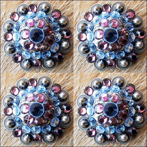 HILASON Western Screw Back Concho Amethyst Sapphire Crystal Cowgirl & Light | Bling