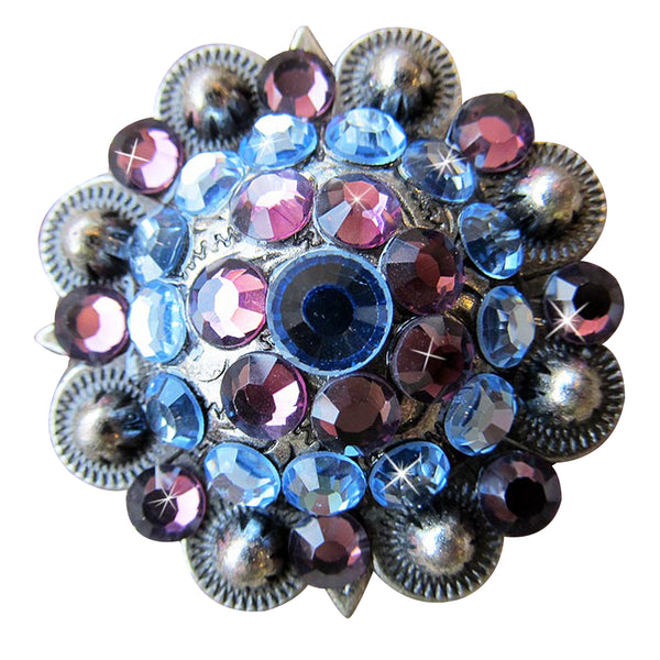 Western Screw Back Concho Amethyst Sapphire Crystal Headstall Cowgirl - Uhorse