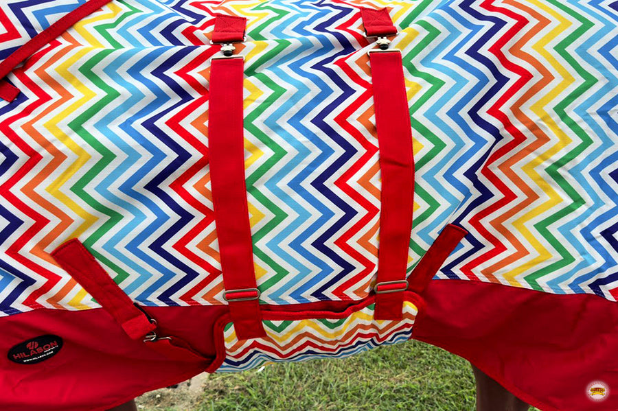 HILASON 1200D Winter Waterproof Poly Horse Hood Turnout Neck Blanket Belly Wrap Rainbow Zigzag | Blankets for Horses