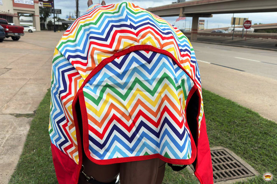 HILASON 1200D Winter Waterproof Poly Horse Hood Turnout Neck Blanket Belly Wrap Rainbow Zigzag | Blankets for Horses