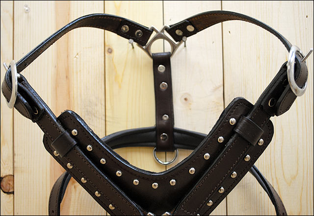 Large Leather Dog Harness Brown Genuine With Leash Hilason