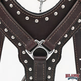 Large Leather Dog Harness Brown Genuine With Leash Hilason