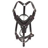 Large Leather Dog Harness Brown Genuine With Leash Hilason - Uhorse
