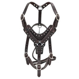 Leather Dog Harness Brown Genuine With Leash Hilason by Hilason – Cowboy and equestrian accessories