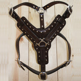 Large Leather Dog Harness Brown Genuine With Leash Hilason