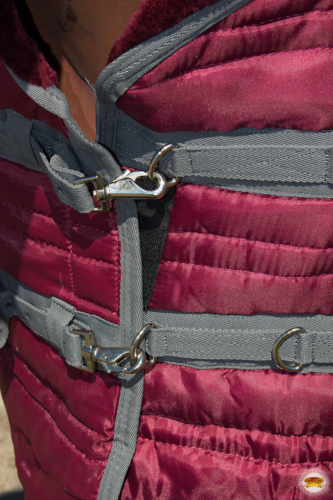 HILASON Western Horse Stable Blanket Quilted | Blankets for Winter Water Resistant Horses Wine