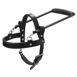 Medium Guide Dog Harness Hilason Black Padded Genuine Leather W/ by Hilason – Cowboy and equestrian accessories