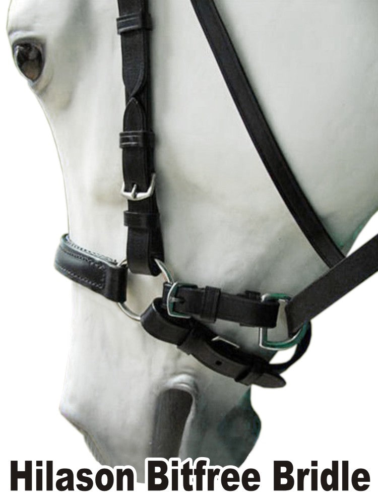 Hilason Leather Bitless Bitfree English Bridle With Reins Black