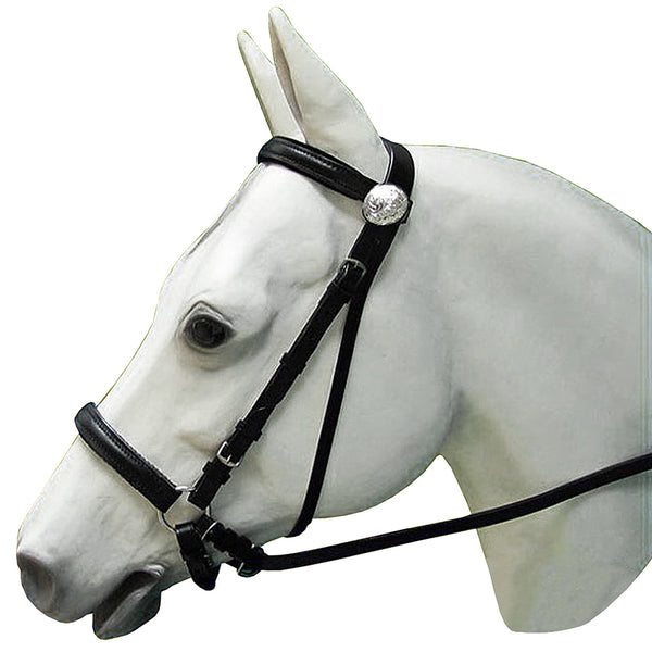 Western Leather Bitless Bitfree Bridle With Reins Black Hilason - Uhorse