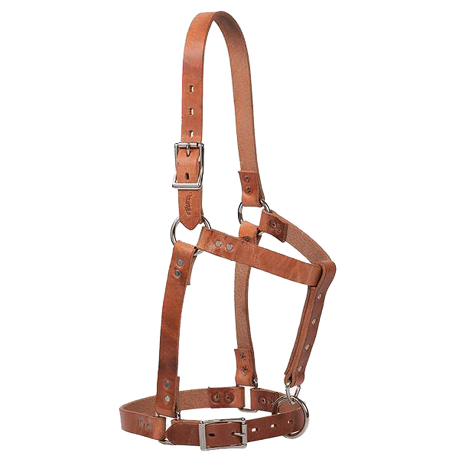 5/8" Weaver Leather W. H. Riveted Genuine Leather Halter Canyon Rose – by Hilason – Cowboy and equestrian accessories