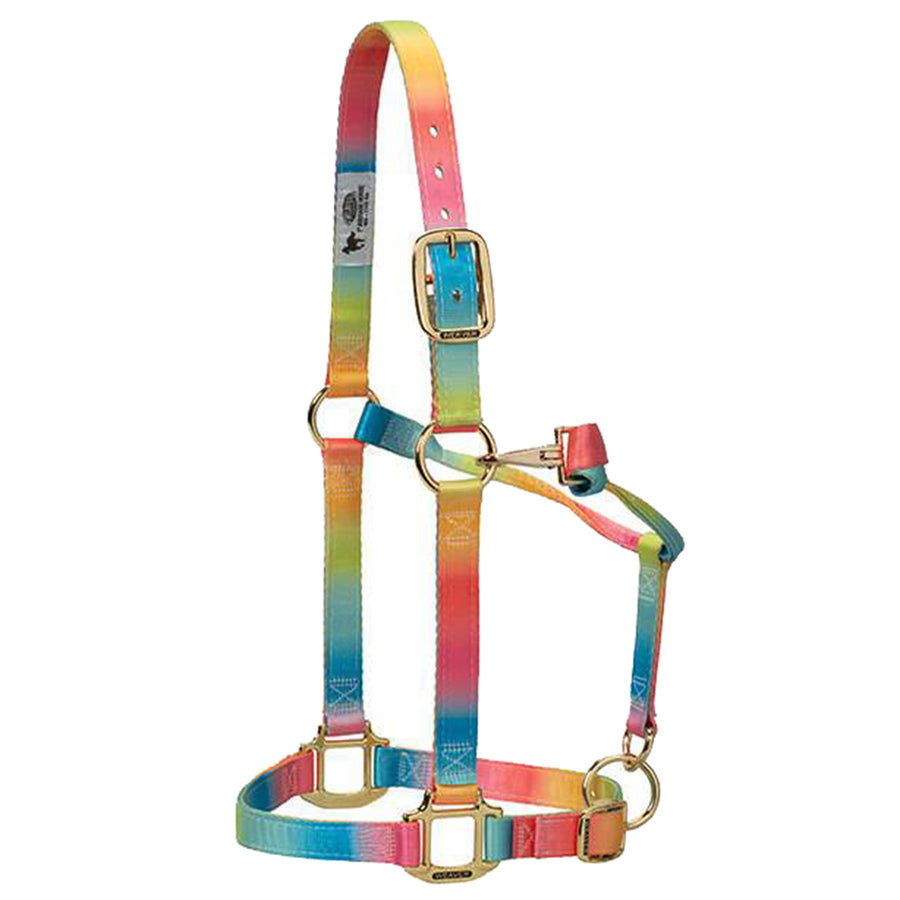 1 In Weaver Leather W. H. Rainbow Adjustable Polyester Halter – by Hilason – Cowboy and equestrian accessories