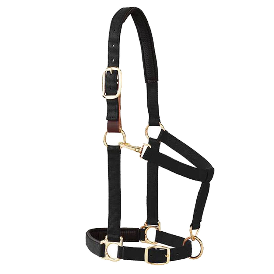 Weaver Leather H. Padded Breakaway Adjustable Chin Throat Snap Halter by Hilason – Cowboy and equestrian accessories