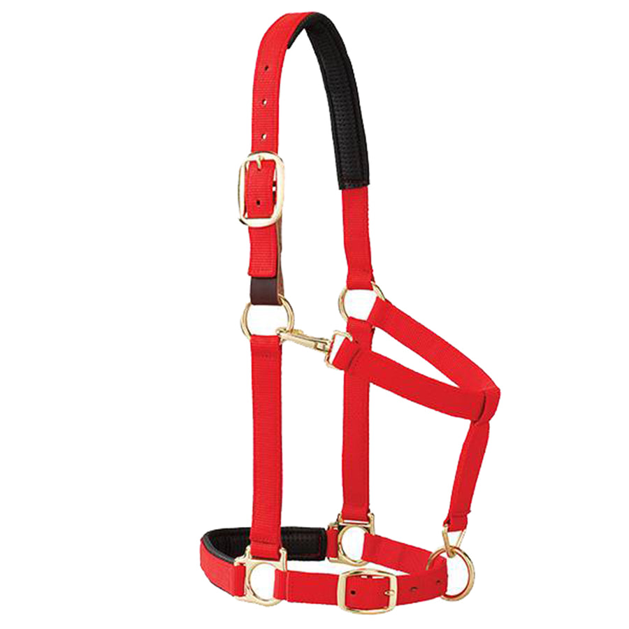 Weaver Leather H. Padded Breakaway Adjustable Chin Throat Snap Halter by Hilason – Cowboy and equestrian accessories