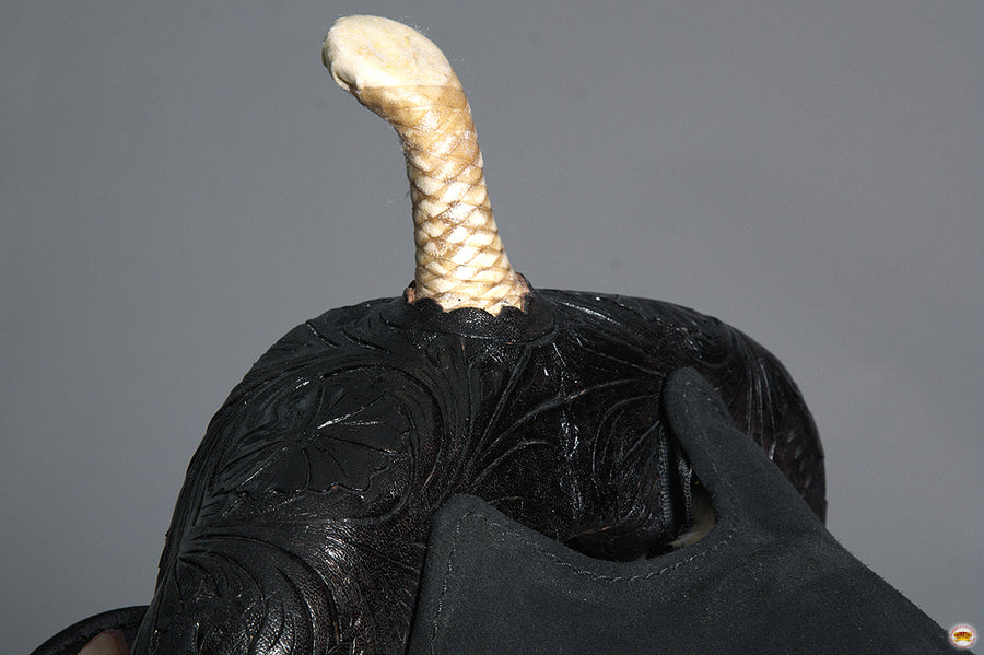 HILASON Western Horse Saddle American Leather Flex Tree Trail & Pleasure Black | for Horses