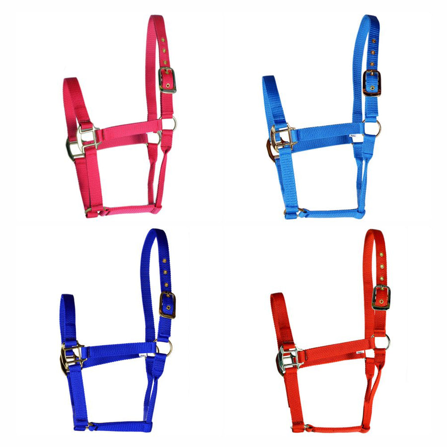 Hilason Western Horse Premium Nylon Rolled Throat Strap Halter