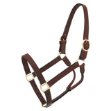 Royal King Western Horse Genuine Leather Track Halter Brown Solid Brass Hardware