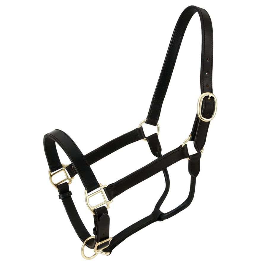 Royal King W. H. Stable Genuine Leather Halter & 1 Inch Width Black – by Hilason – Cowboy and equestrian accessories