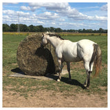 Tough1 Western Horse Pet Animals 6 Ft X 6 Ft Round Bale Hay Bag Net Black 2 1/2 Inch