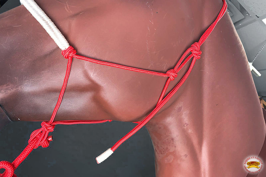 HILASON Western Horse Poly Rope Tied Adjustable Halter 8 Ft Lead