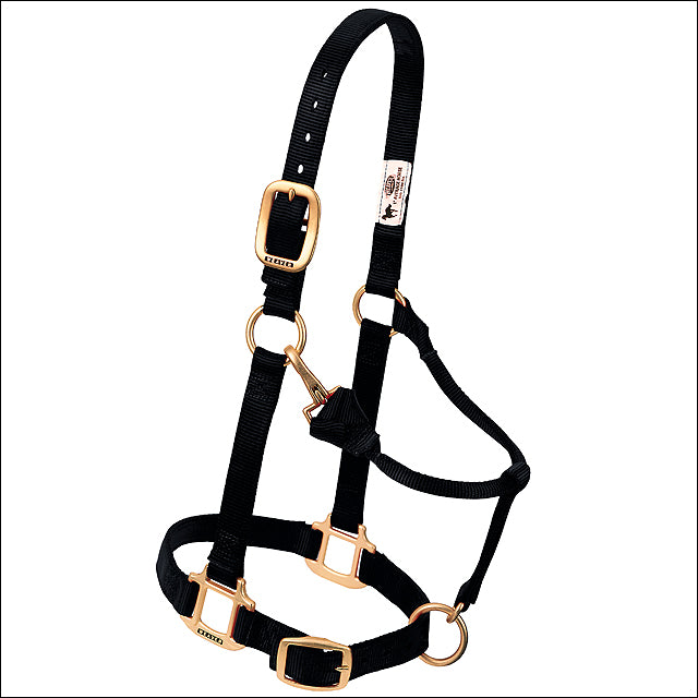 Black Original Adjustable Chin And Throat Snap Horse Halter Arabian/Cob - Uhorse