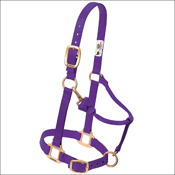 Large Weaver H. Halter Nylon Heat Sealed Buckle Chin Throat Purple – by Hilason – Cowboy and equestrian accessories