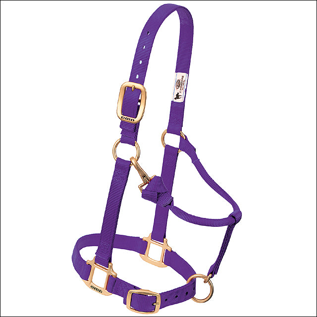 Large Horse Halter Nylon Heat Sealed Buckle Chin Throat Purple - Uhorse