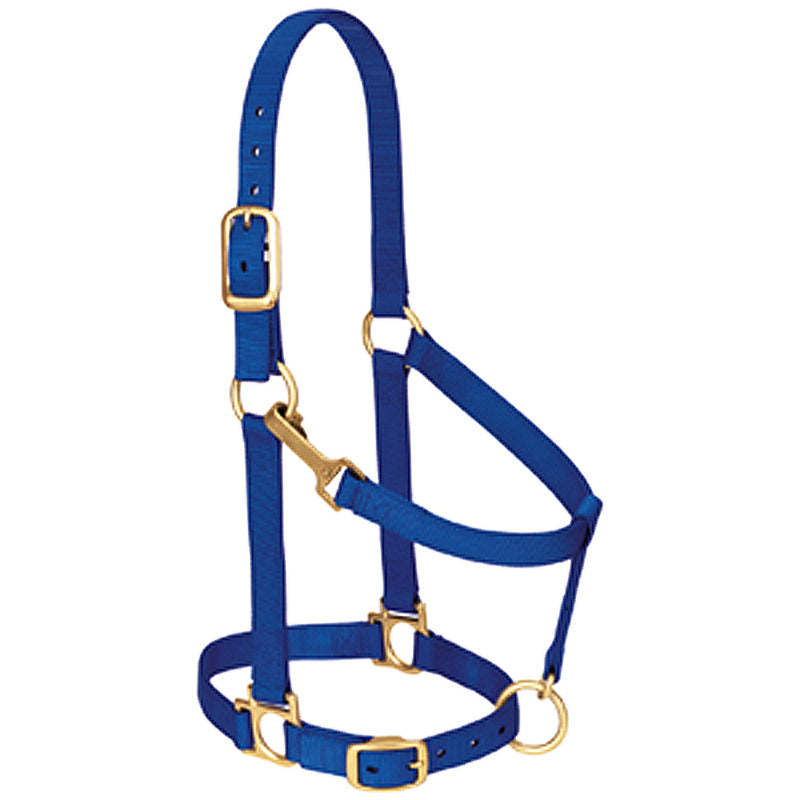 Blue Nylon Basic Adjustable Chin And Throat Snap Horse Halter By Lether - Uhorse