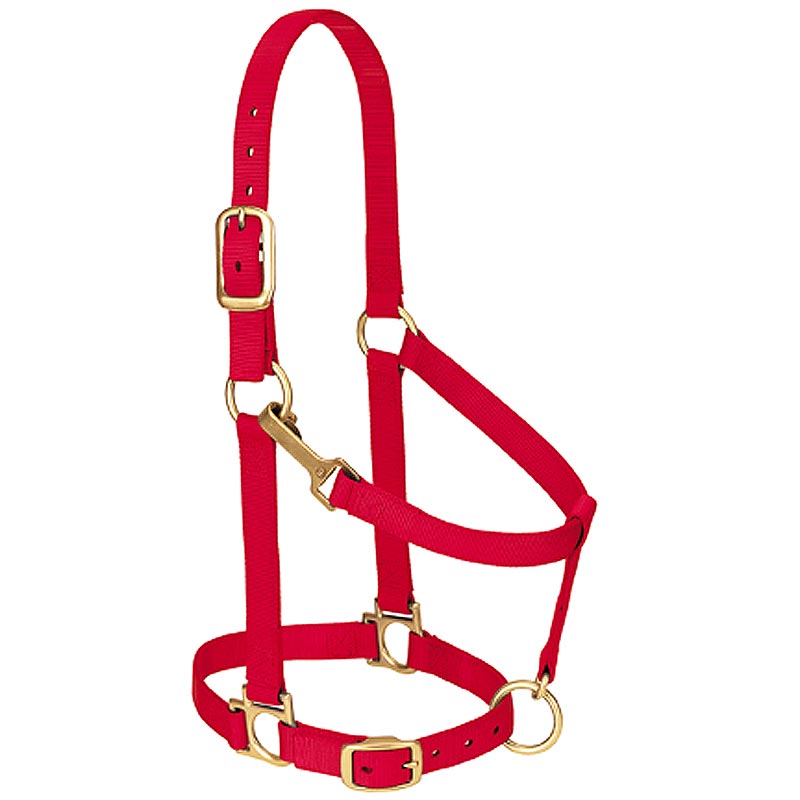 Red Nylon Basic Adjustable Chin And Throat Snap Horse Halter By Lether - Uhorse