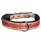 Small Hilason Heavy Duty Hand Painted Genuine Leather Dog Collar Tan - Uhorse