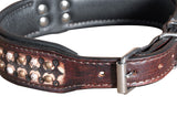 Small Hilason Heavy Duty Handmade Genuine Leather Dog Collar Brown with rivets