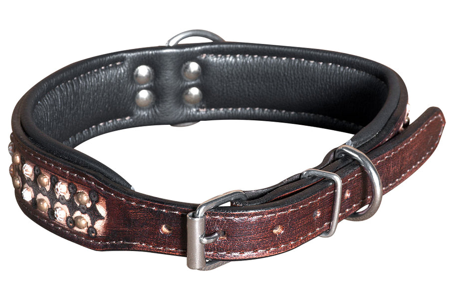 Small Hilason Heavy Duty Handmade Genuine Leather Dog Collar Brown with rivets