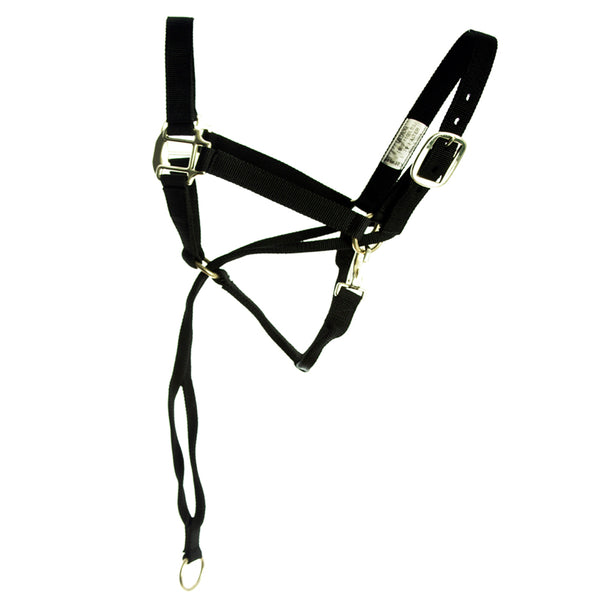HILASON Nylon Training Halter with Poll Pressure Strap 1" Heavy Duty by Hilason – Cowboy and equestrian accessories