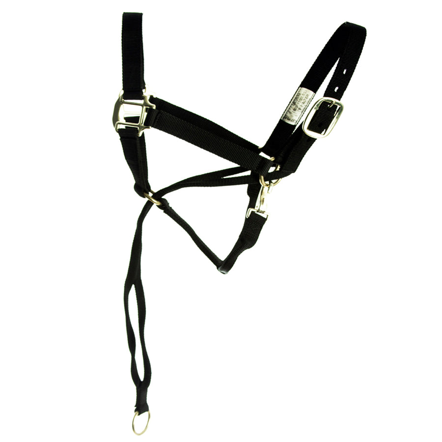 HILASON Nylon Training Halter with Poll Pressure Strap 1" Heavy Duty Adjustable - Uhorse