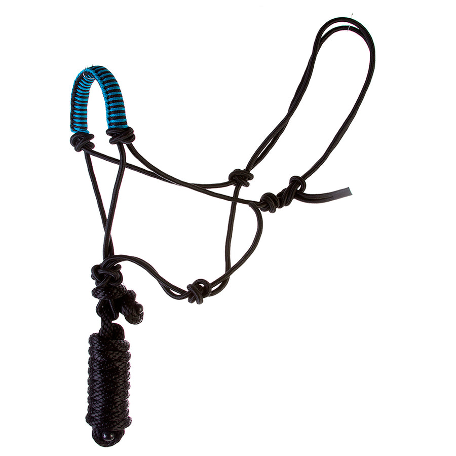 Black nylon halter with blue striped nose band - Uhorse
