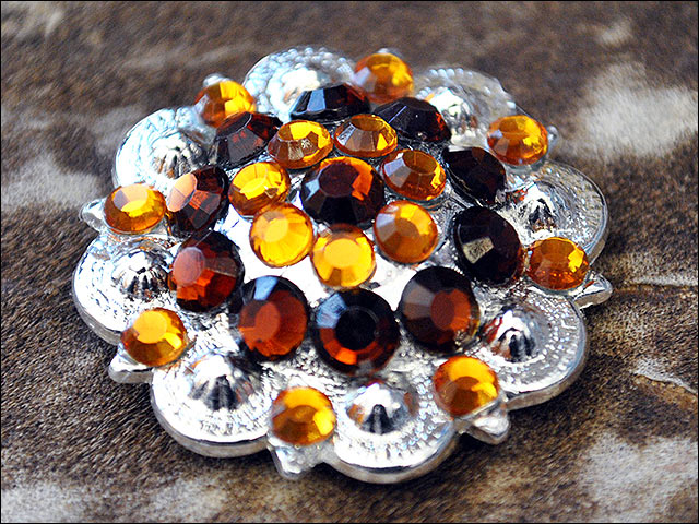 HILASON Brown Crystals Berry Bling Headstall Tack | Western Concho Belt Slotted Conchos Leather Screw Back
