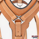 Large Leather Dog Harness Tan Padded Genuine With Matching Leash Hilason