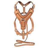 Medium Leather Dog Harness Tan Padded Genuine Matching Leash Hilason - Uhorse