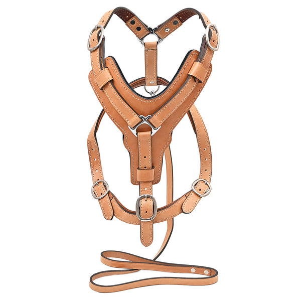 Large Leather Dog Harness Tan Padded Genuine With Matching Leash Hilason - Uhorse