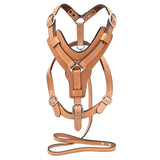 Large Leather Dog Harness Tan Padded Genuine With Matching Leash Hilason