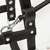 HILASON Guide Dog Harness Brown Padded Genuine Leather with Handle |